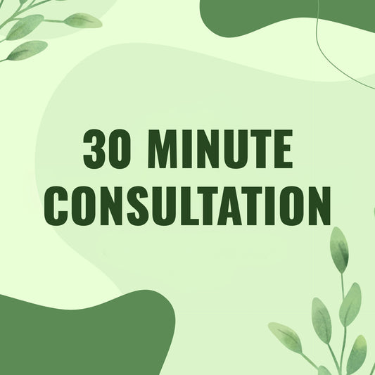 30 Minute Consultation