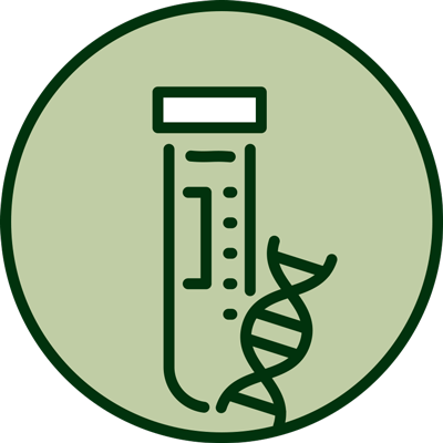 Hormone Support Icon