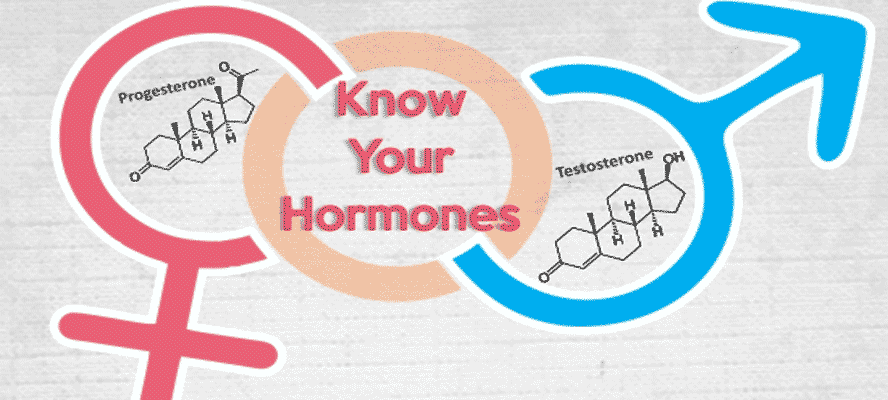 Male Hormone Only Panel